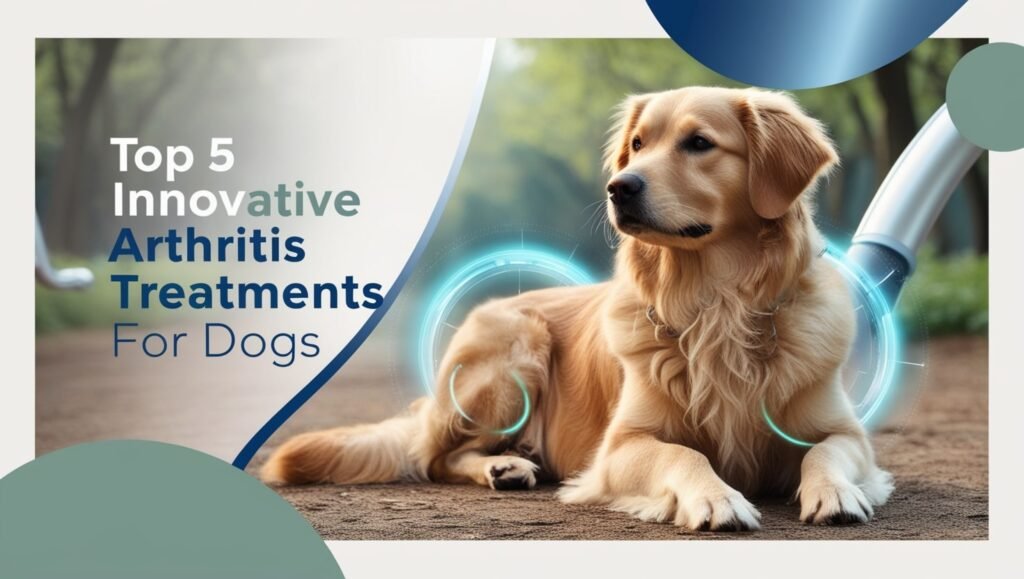 Top 5 Innovative Arthritis Treatments for Dogs