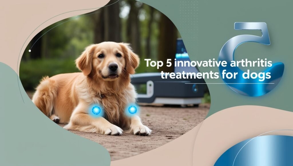 Top 5 Innovative Arthritis Treatments for Dogs