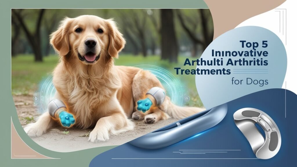 Top 5 Innovative Arthritis Treatments for Dogs
